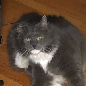 Meet your Posher, Lila